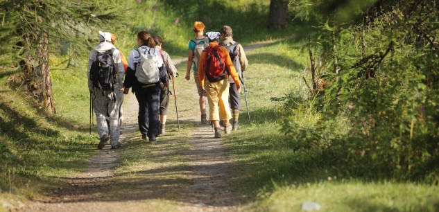 trekking